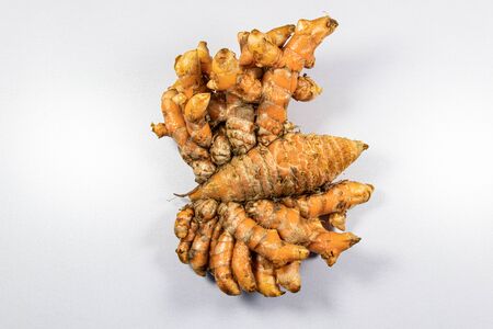 Modified Stem and root of Plant for education in laboratory.の写真素材