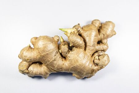 Modified Stem and root of Plant for education in laboratory.の写真素材