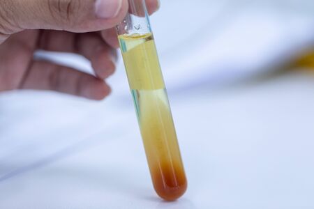 Biodiesel production is the process of producing the biofuel, biodiesel, in laboratory.の写真素材