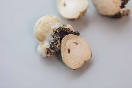 Volvariella volvacea (also known as paddy straw mushroom or straw mushroom) is a species of edible...