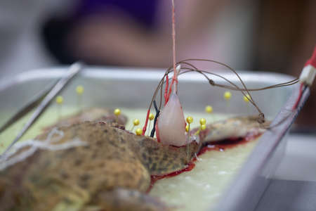 Study Nervous system test in Laboratory.