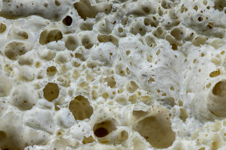 Backgrounds of mixed rubber substrates from laboratory experiments.の写真素材