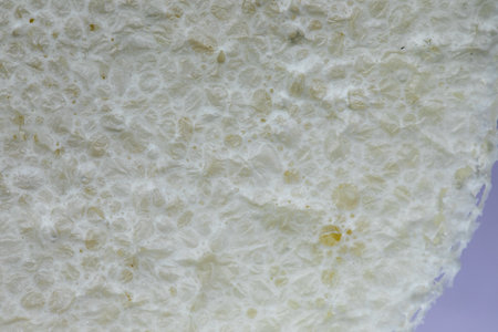 Backgrounds of mixed rubber substrates from laboratory experiments.の写真素材