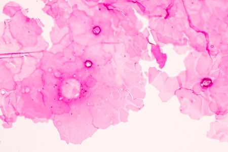 Anatomy and Histological Ovary, Testis and Sperm human cells under microscope.の写真素材