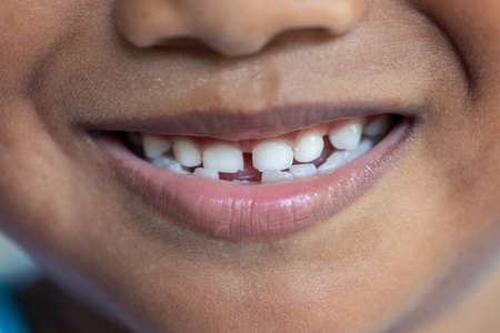 Study of human parts model in science lab.の写真素材