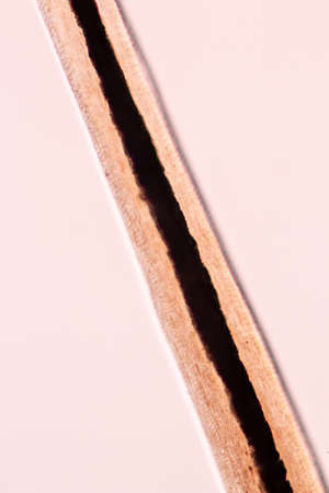 Characteristics of Hair cell of human under microscope view for education in laboratory.