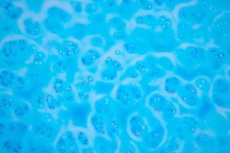 Hyaline cartilage, Elastic cartilage and Bone Human under the microscope in Lab.の写真素材