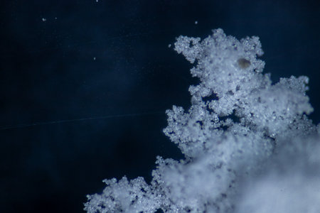 Tempeh is a soy-based food or mixed with other grains like rice, wheat, or barley.の写真素材