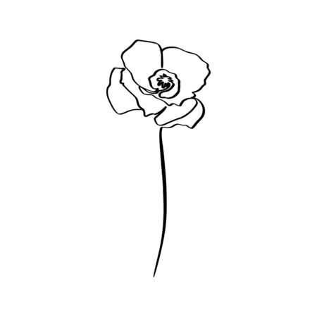 Poppy Flower Is One Line Art. Vector abstract Plant in a Trendy Minimalist Style.のイラスト素材