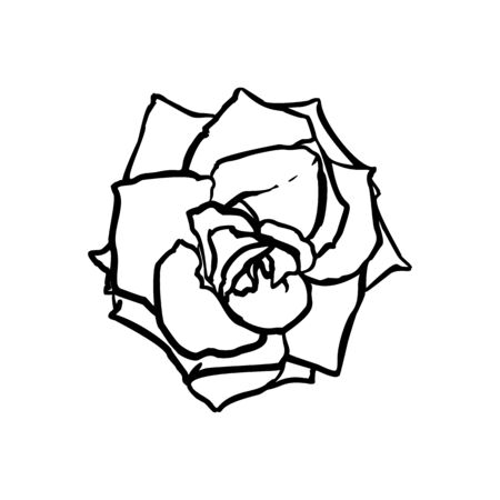 Rose Flower line drawing. Vector outline drawing art in a Trendy Minimalist Style.のイラスト素材