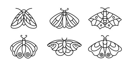 A set of Moths' and Butterfly icon Outlines in a minimalist style.のイラスト素材