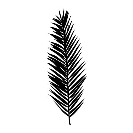 Silhouette of a palm leaf. Black tropical plant isolated on white background. Vector illustration for creating shadows, patterns and logosのイラスト素材