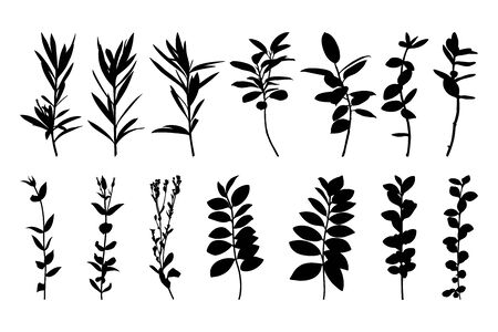 Set silhouettes of tree branches isolated on a white background. Vector illustration of plants for creating shadows, patterns and logosのイラスト素材