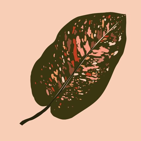 Tropical Dieffenbachia leaf in a minimalist trendy style. Silhouette of a plant in a contemporary simple abstract style. Vector illustration collage. For t-Shirt Print, card, poster, social media postのイラスト素材