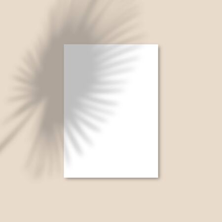 Shadow Overlay Palm Leaf Vector Mockup A4 Paper sheets. Vector Transparent shadow of tropical leaves on pastel background in a modern minimalist style. For presentation Flyer, Poster, blank, logoのイラスト素材