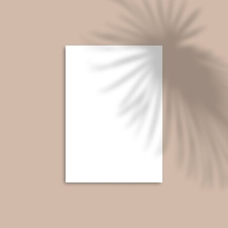 Shadow Overlay Palm Leaf Vector Mockup A4 Paper sheets. Vector Transparent shadow of tropical leavesのイラスト素材