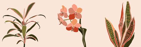 Art collage houseplant leaves and flowers in a minimal trendy style. Silhouette of orchid, sansevieria and orchid plants in a contemporary simple abstract style on a pink background. Vectorのイラスト素材