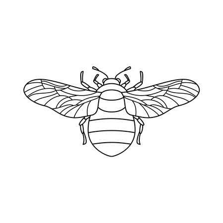 Bumblebee icon in a Linear Minimalist trendy style. Vector outline Emblem of Insect with wings for  beauty salons, manicures, massages, spas, jewelry, tattoos, and handmade artists.のイラスト素材