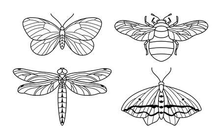 A set of insect icon outlines in a minimalist trendy style. Vector linear illustrations of butterflies, bumblebees and dragonflies for beauty salons, massages, spas, jewelry, tattoosのイラスト素材