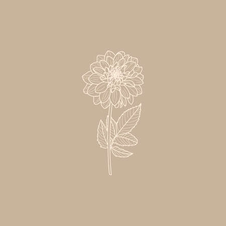 Dahlia Flowers with Leaves in Trendy Minimal Liner Style. Vector Floral Illustrationのイラスト素材