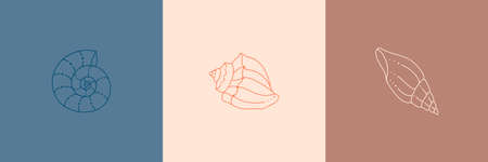 Set of Seashells Icons in a Trendy Minimal Linear Style. Vector Illustration of a Conch, Snail, Scallopのイラスト素材