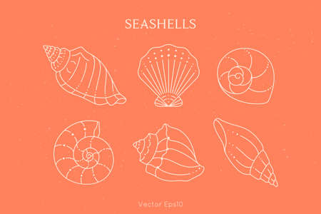 Set of Seashells Icons in a Trendy Minimal Linear Style. Vector Illustration of a Conch, Snail, Scallop and Oysterのイラスト素材