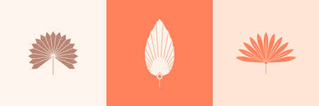 Set of Abstract Palm Leaves Silhouette in Simple Style. Vector Tropical Leaf Boho Emblem. Floral Illustrationのイラスト素材