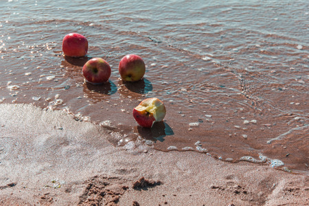 Four apples in seawaterの写真素材