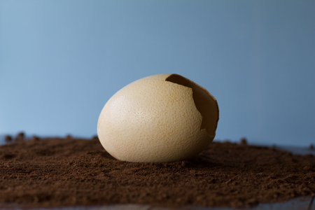 Broken nep big egg lie in the brown structure with blue backgroundの写真素材