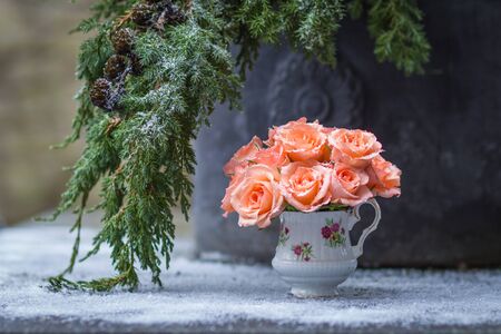 December month. Fir tree branch and delicate bouquet of roses in the snowの写真素材