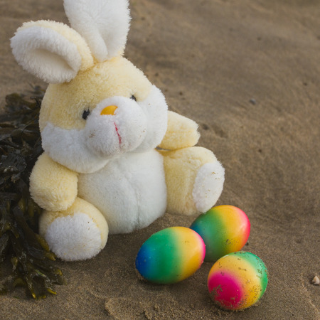 Toy teddy bunny with colored eggs on the wet sand at the seaside