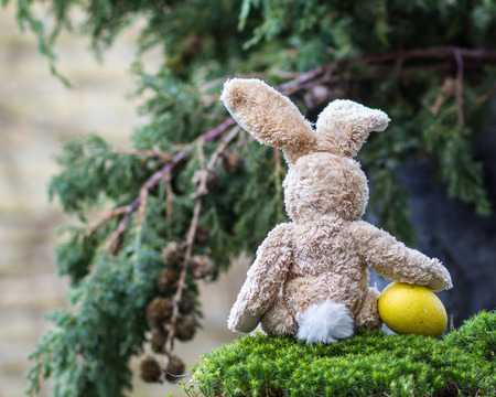 Teddy rabbit with a big yellow egg sitting back in a garden.の写真素材