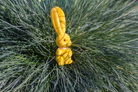 Easter decoration with funny rabbit and special plant in a sunlight effect.
