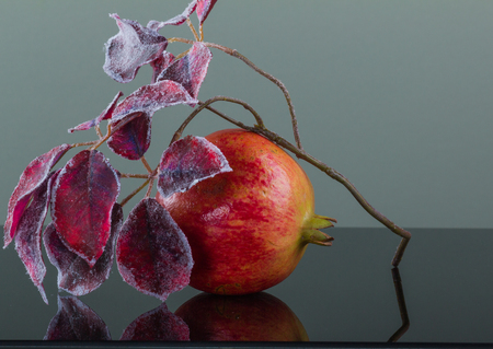 Christmas concept.Pomegranate and branch chokeberry in the snowの写真素材