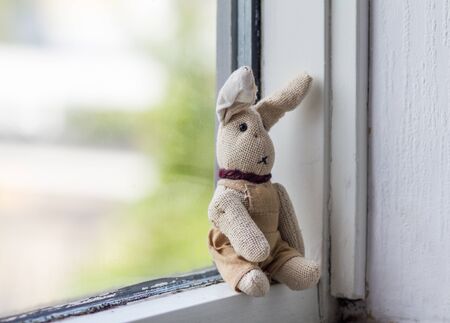 Annoyance concept. Dreamily bunny sitting alone on the windowsill..の写真素材