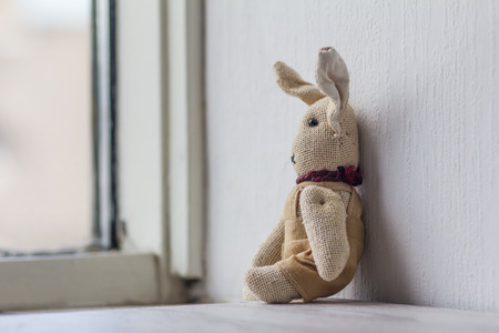 Dreamily lonely disappointment bunny with sad look out the window.の写真素材