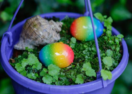 Easter eggs with rain drops and shell in the violet  flowerpot with plants