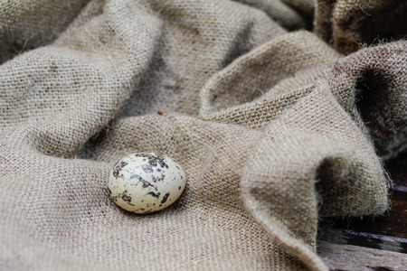 Closeup quail egg on the background of sackclothの写真素材