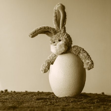 Teddy boggle bunny sitting in a big broken egg.の写真素材