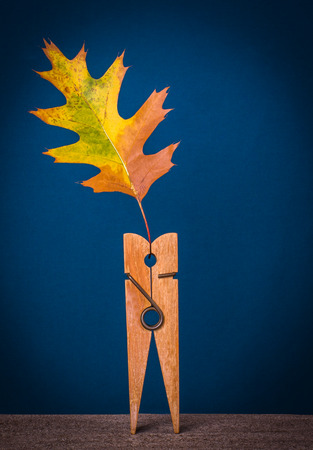 A large holds a branch with autumn yellow bright leaves. Dark blue background, vertical, conceptual.の写真素材