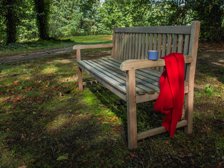 Autumn mood and tranquility in the park with wood bench, red woll skarf and cup of coffee, outsideの写真素材