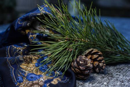 Branch of pine-tree with  two pine cone and  traditional Russian headscarf of blue color on the ...