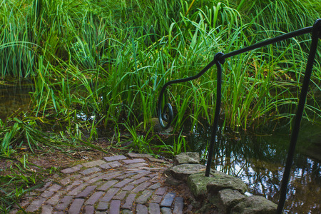 Pond, lake, creek  with green grass, stones, decorative curved metal handrail, down, fragment close-upの写真素材
