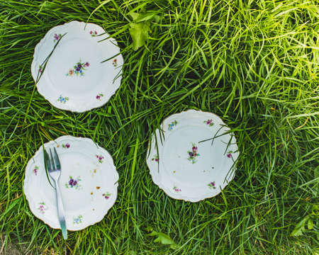Three provincial style porcelain plates and a one fork on a background of real green grass outdoors. Close-up, rustic styleの写真素材