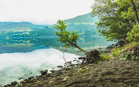 Europe nature. Loch Earn in the morning. Mountain reflection in a clean water.の写真素材