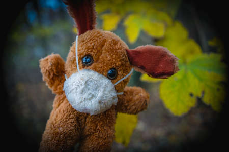 Brown soft toy with a hygienic mask. Outdoor, blurred background. Symbolic image.の写真素材