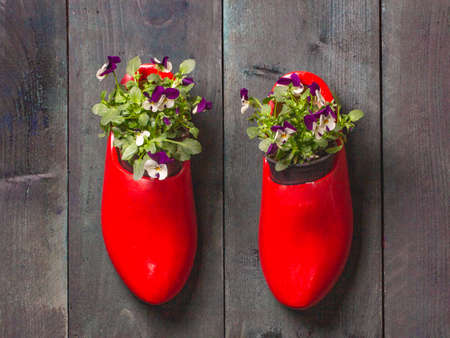 Two red wooden clogs with pansies wooden background on a rough wooden background.