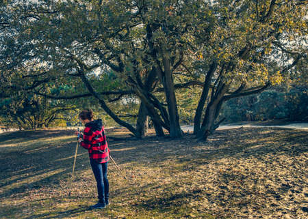 Senior woman on nordic walking in the forest in autumn sunny day.の写真素材