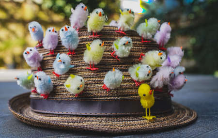 Chorus, happy singing chickens.Hat with multi colored little chickens, festive decorations, close up shot outdoorsの写真素材