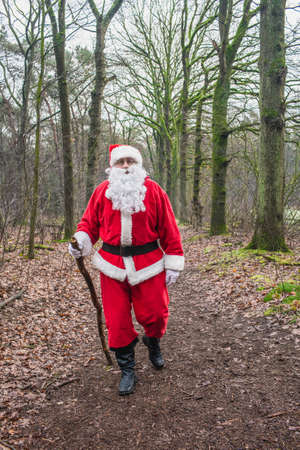 Santa Claus in traditional red costume walks in the forest with stick in his hand.Walking in nature, healthy lifestyle.の写真素材